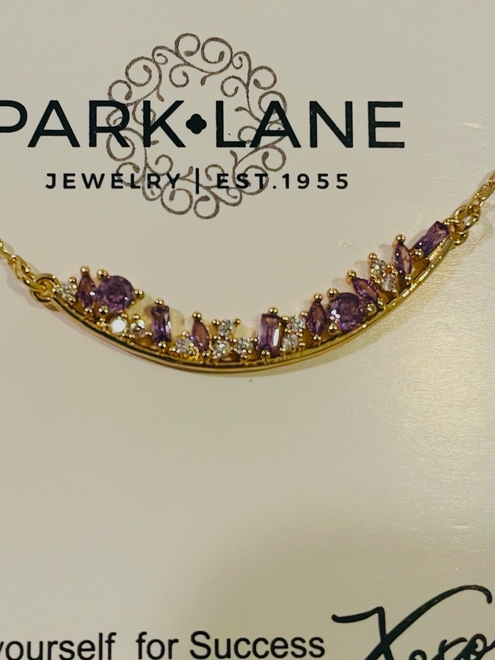 Park Lane Blackberry Necklace NWT